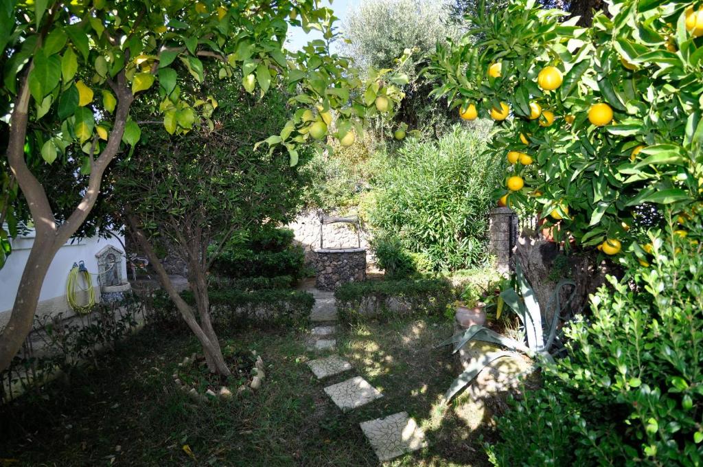 Emmy villa paleokastritsa room 3